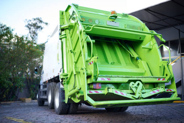Yard Cleanup Services in Seville, OH